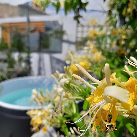Bed and Breakfast Le Petit Patio Aigues-Mortes Exteriér fotografie