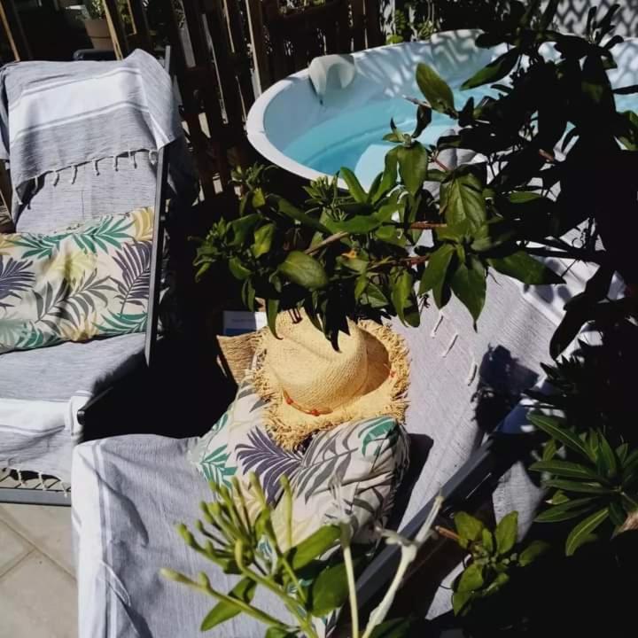 Bed and Breakfast Le Petit Patio Aigues-Mortes Exteriér fotografie
