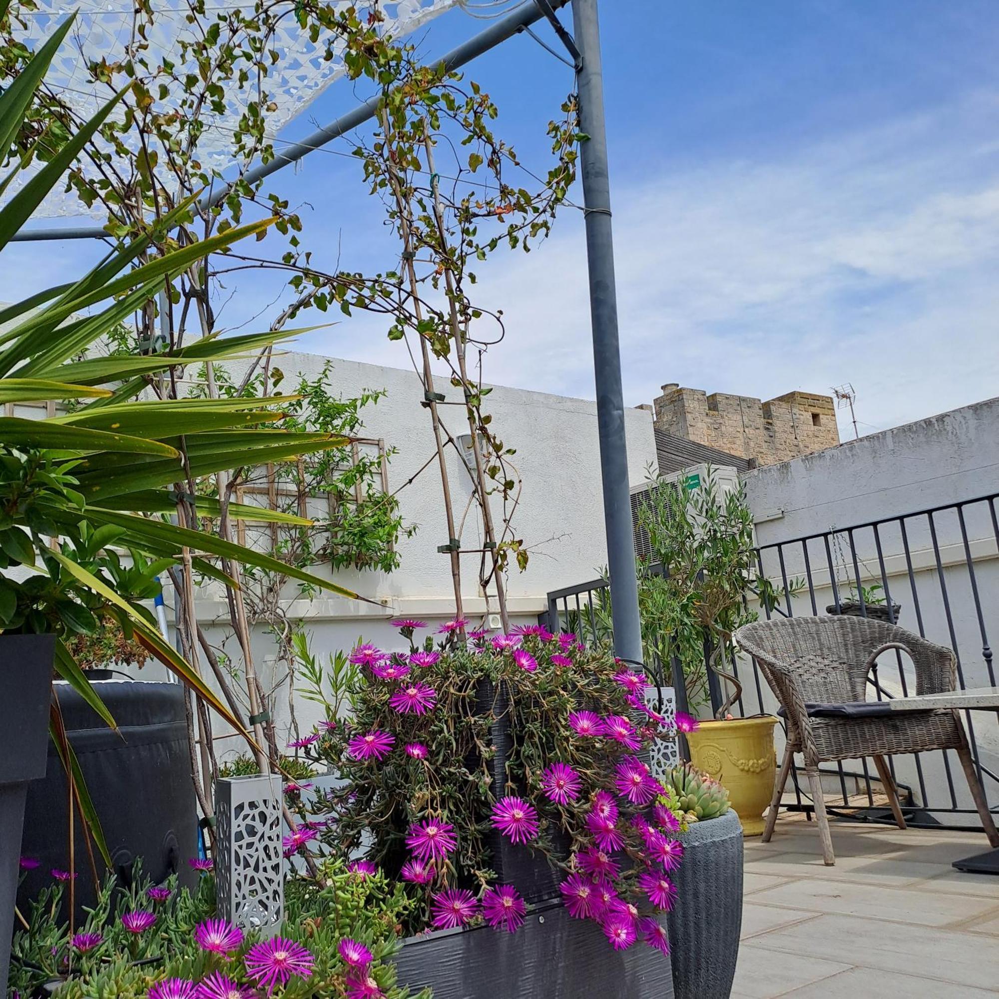 Bed and Breakfast Le Petit Patio Aigues-Mortes Exteriér fotografie